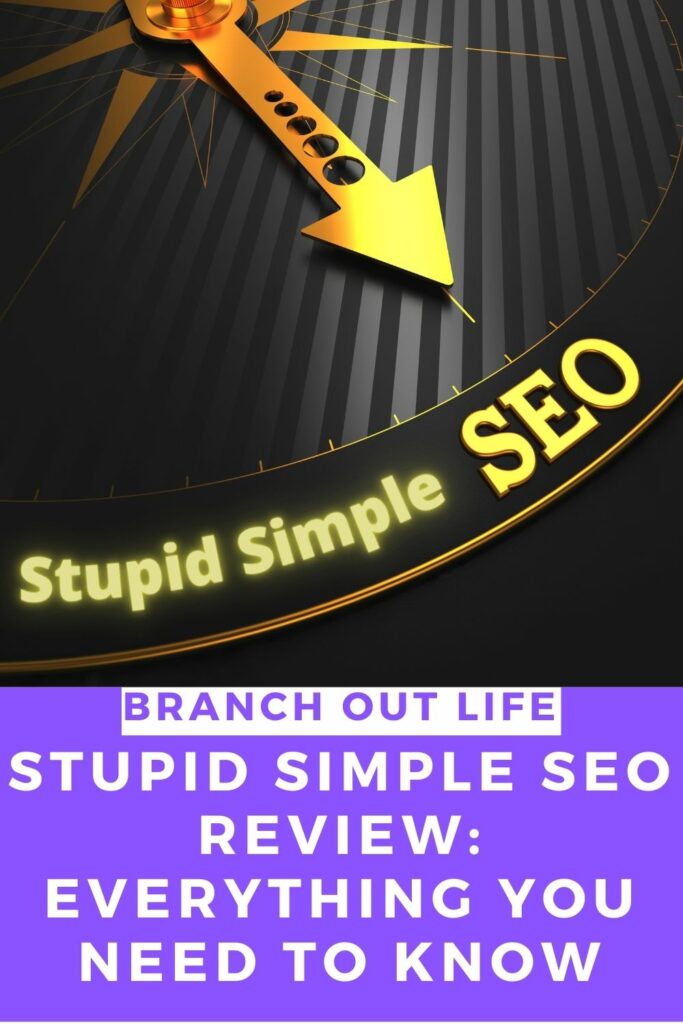 Stupid Simple SEO Review: Everything You Need to Know