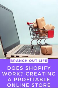 Does Shopify Work?: Creating a Profitable Online Store