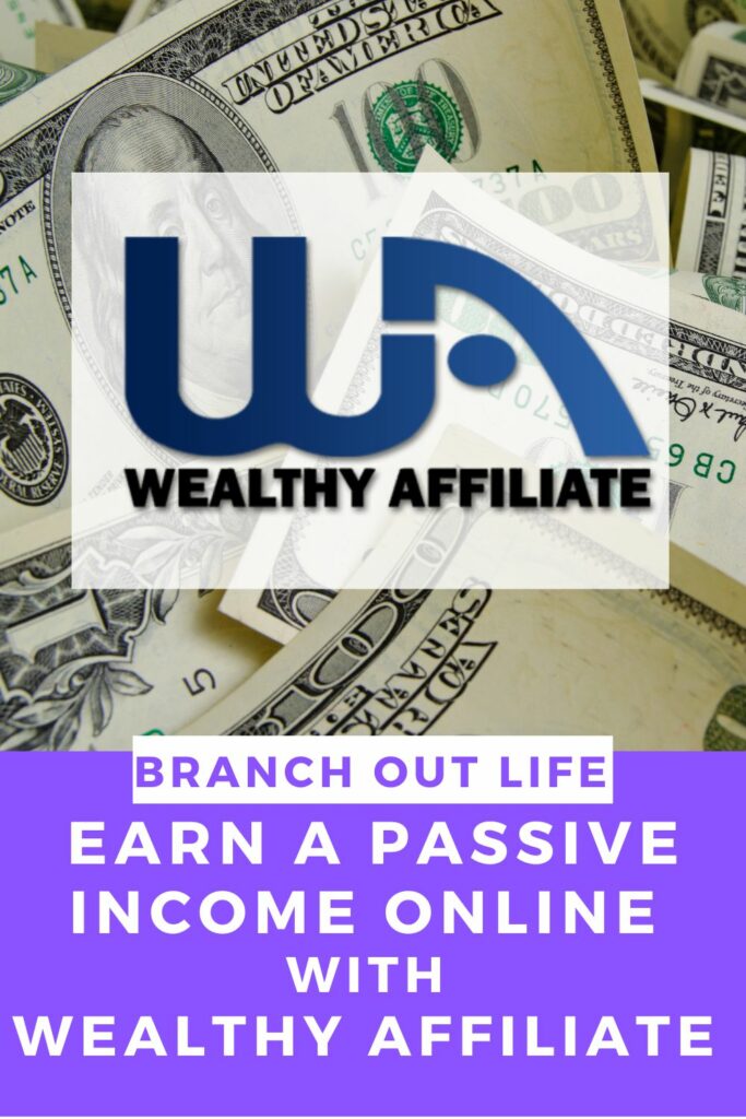 Earn a Passive Income Online