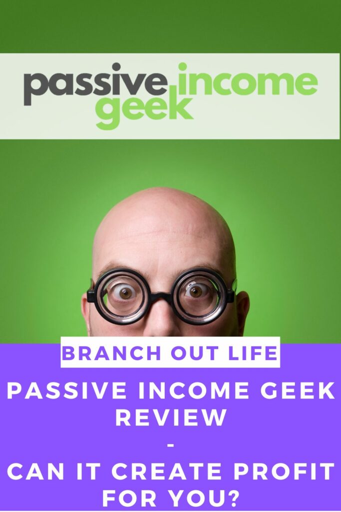 Passive Income Geek Review: Can It Create Profit for You?