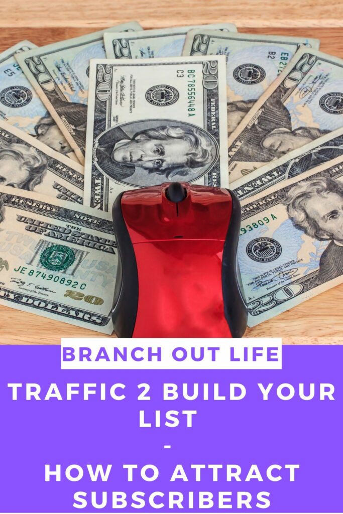 Traffic 2 Build Your List - How to Attract Subscribers