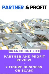 Partner and Profit Review: 7 Figure Business or Scam?